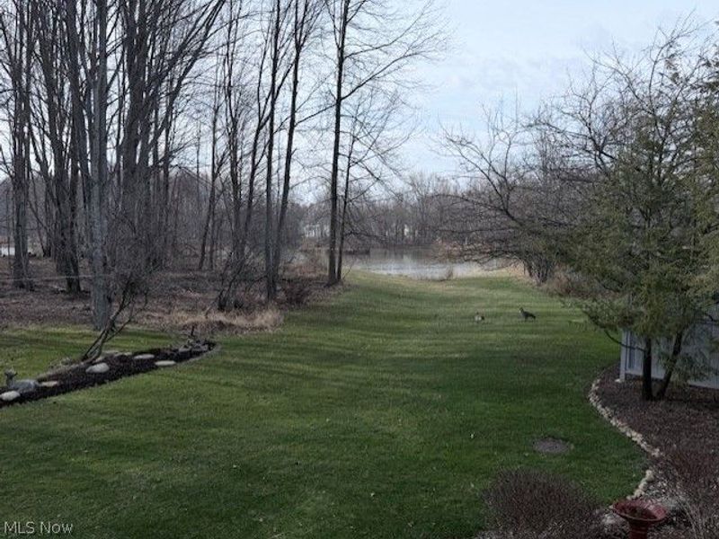 11218 Butternut Lane, North Royalton, OH 44133 Photo 33