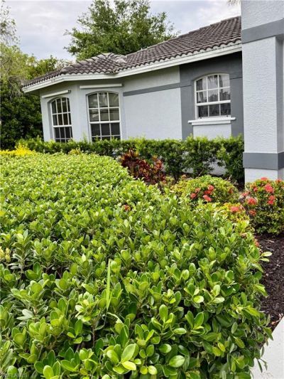 10264 Wood Ibis Ave, Bonita Springs, FL 34135 Photo