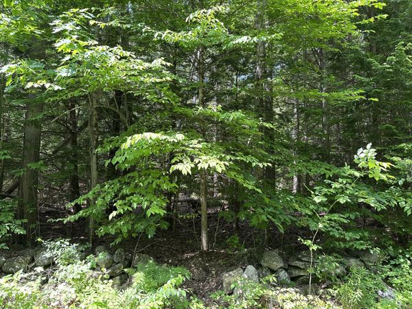 0 Dingley Road, Bowdoinham, ME 04008