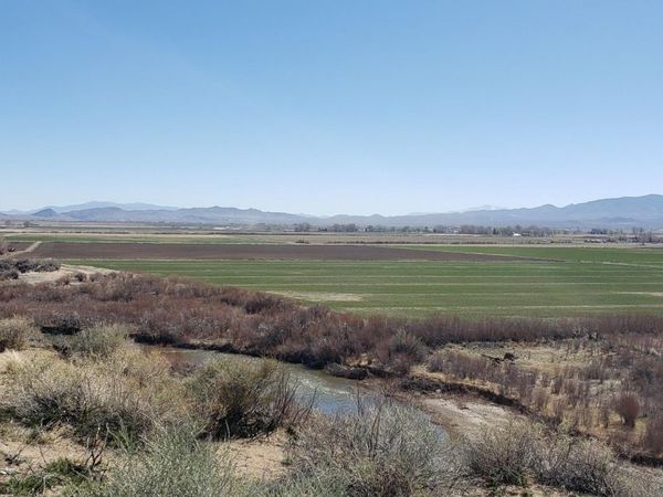 247 Artist View Road, Unit 6, Wellington, NV 89444