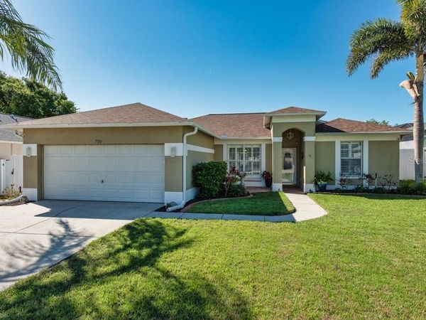 720 SANDY HILLS AVENUE , TARPON SPRINGS, FL 34689