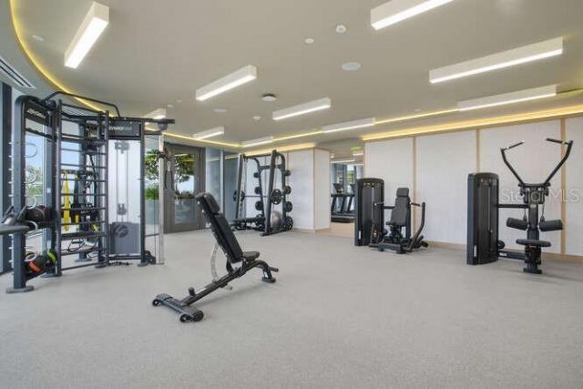 3015 S Ysabella Avenue, Unit 2401, Tampa, FL 33629 Photo