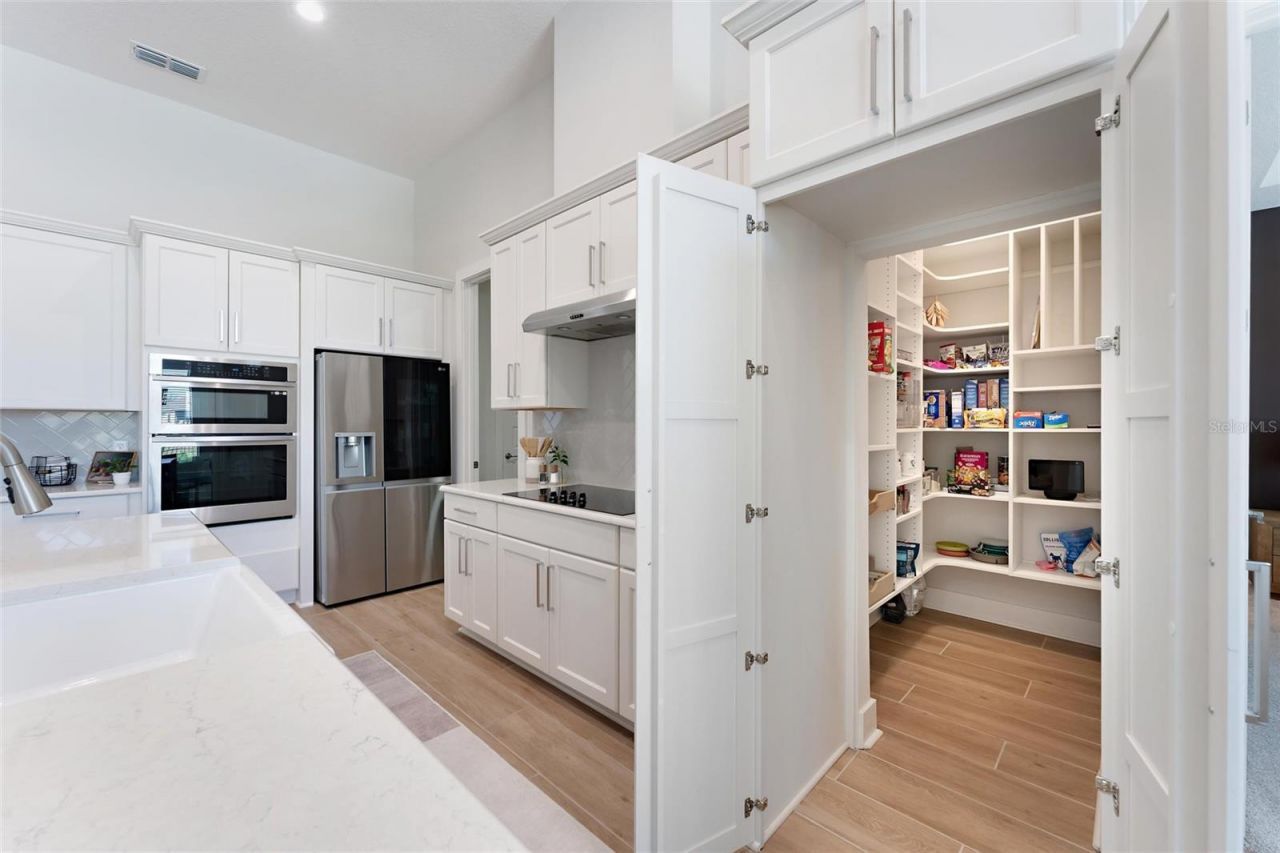 31778 Red Tail Boulevard, Sorrento, FL 32776 Photo