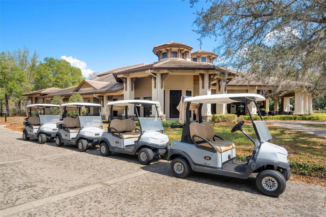 31778 Red Tail Boulevard, Sorrento, FL 32776 Photo