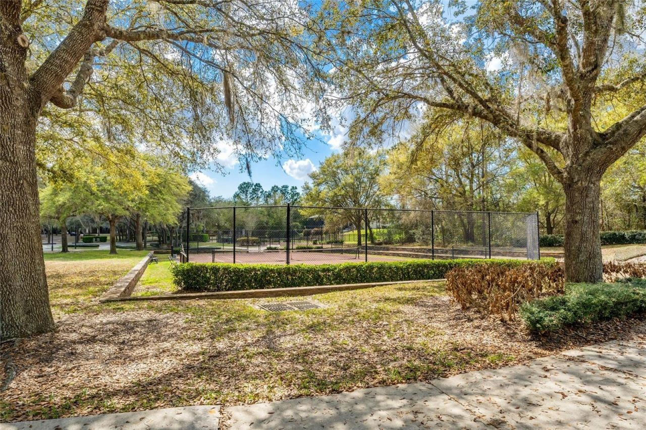 31778 Red Tail Boulevard, Sorrento, FL 32776 Photo