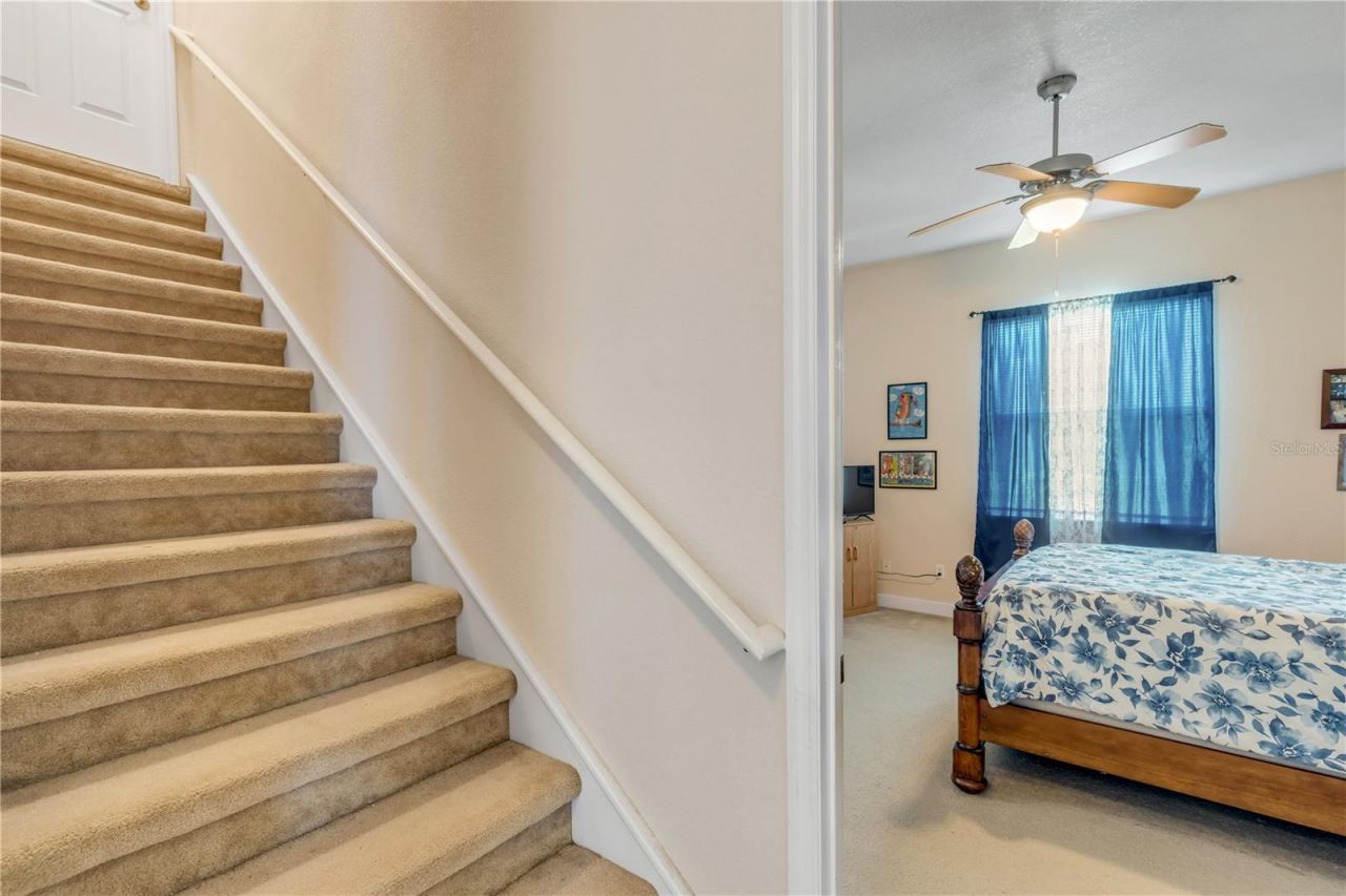 3377 Caterina Drive , New Smyrna Beach, FL 32168 Photo