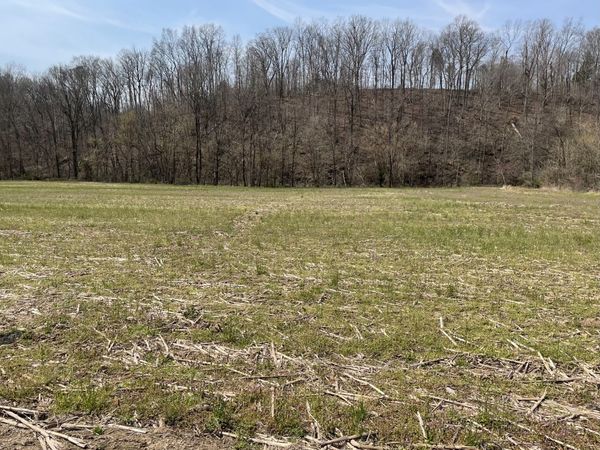 0 Dutch Creek Rd , Westmoreland, TN 37186