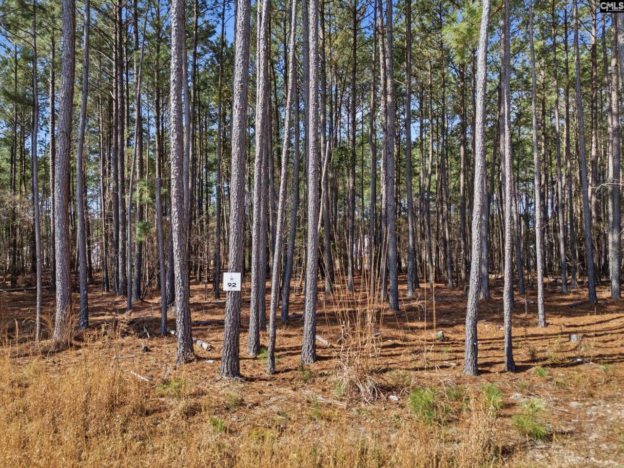 2 Timber Trail Lane Photo 10