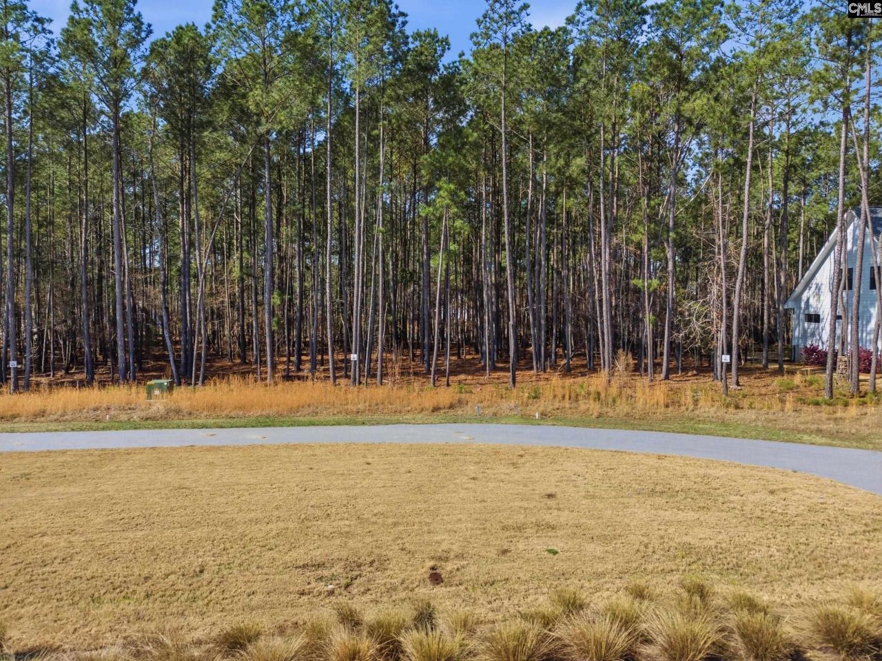 2 Timber Trail Lane Photo 9