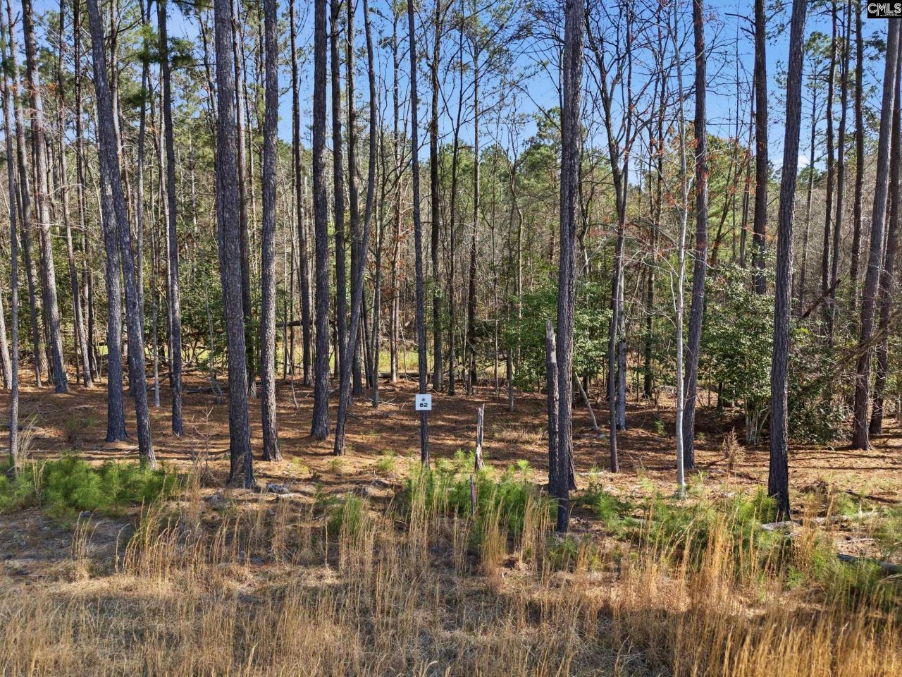 0 Timber Trail Lane Photo 10