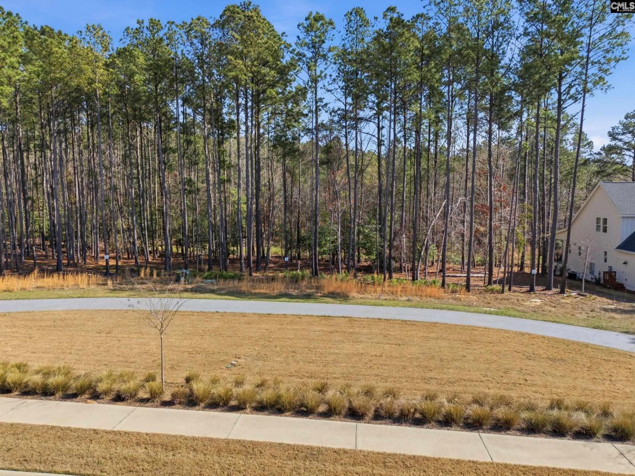 0 Timber Trail Lane Photo 9