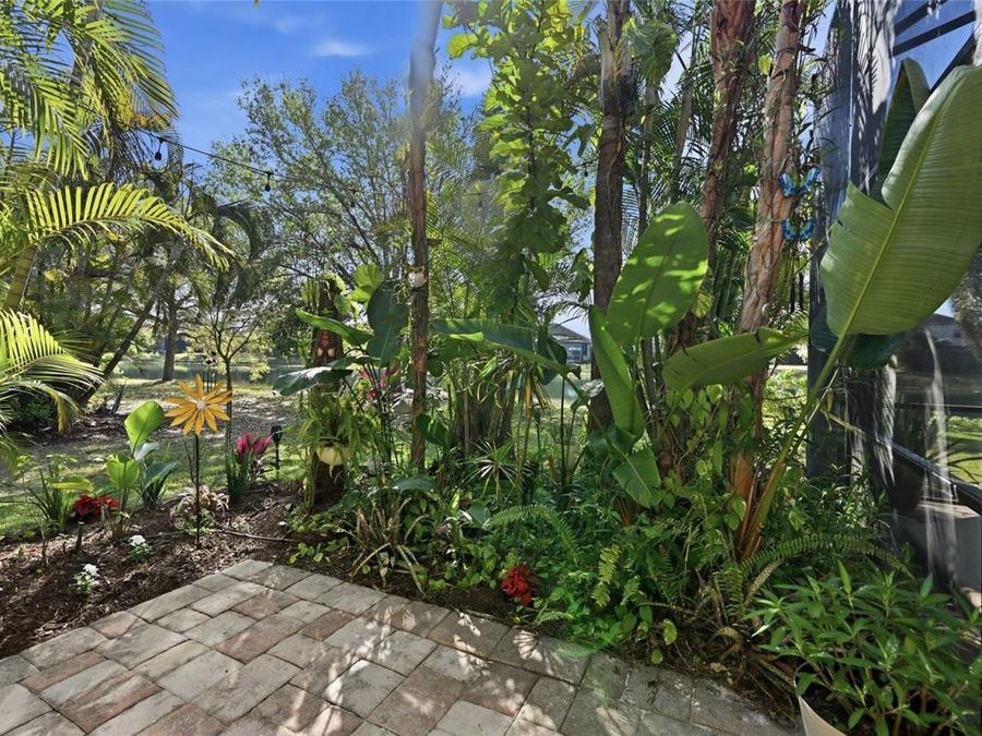 Property Image 59
