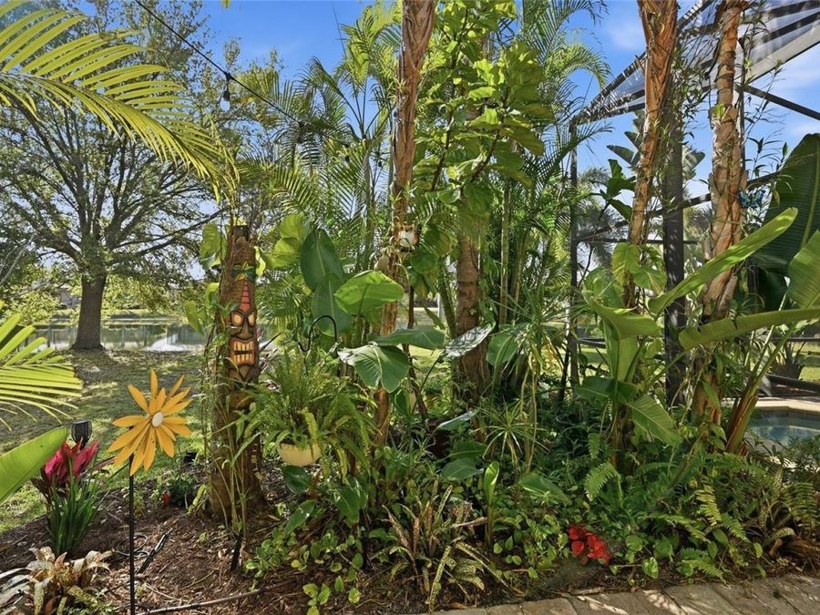 Property Image 60