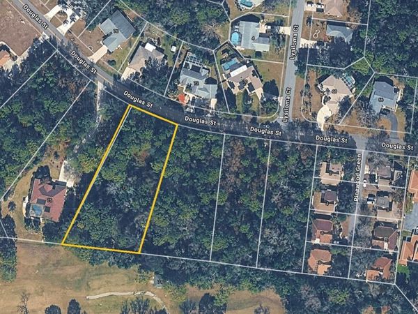 73 DOUGLAS STREET , HOMOSASSA, FL 34446