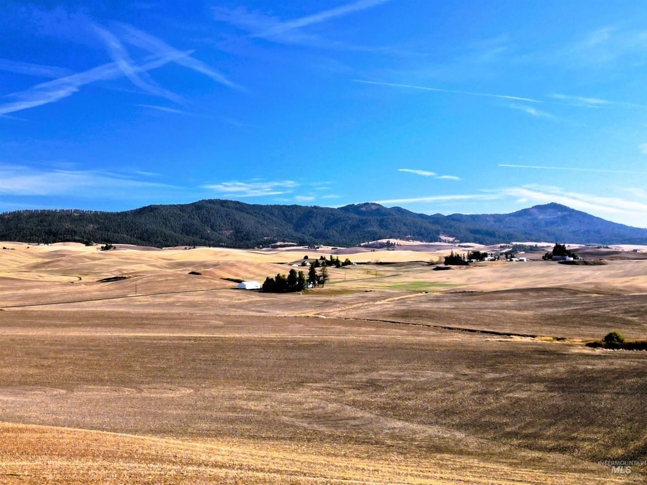 Tbd John Ruby Rd, Parcel 1, Moscow, ID 83843 Main Photo