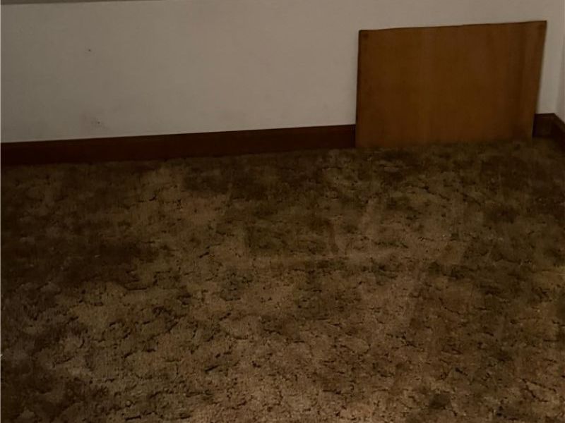 19870 Pasnow Avenue , Euclid, OH 44119 Photo 20