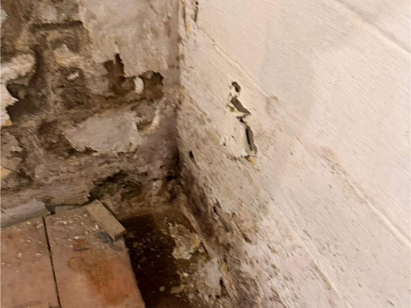 19870 Pasnow Avenue , Euclid, OH 44119 Photo 25