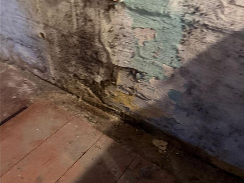 19870 Pasnow Avenue, Euclid, OH 44119 Photo 26