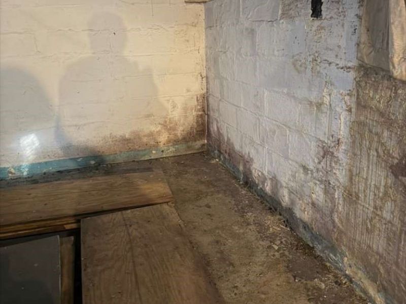 19870 Pasnow Avenue, Euclid, OH 44119 Photo 27