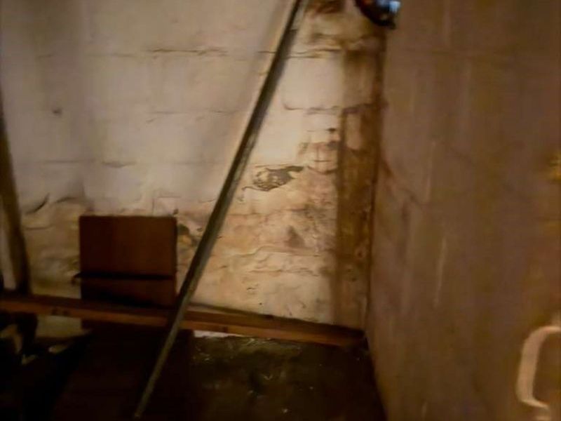 19870 Pasnow Avenue, Euclid, OH 44119 Photo 30