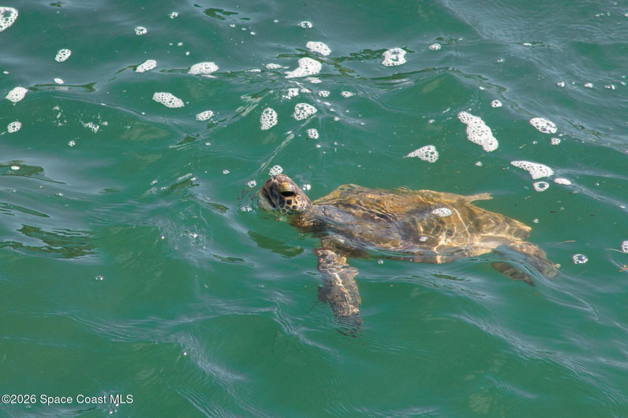 397 Harbor Drive, Cape Canaveral, FL 32920 Photo