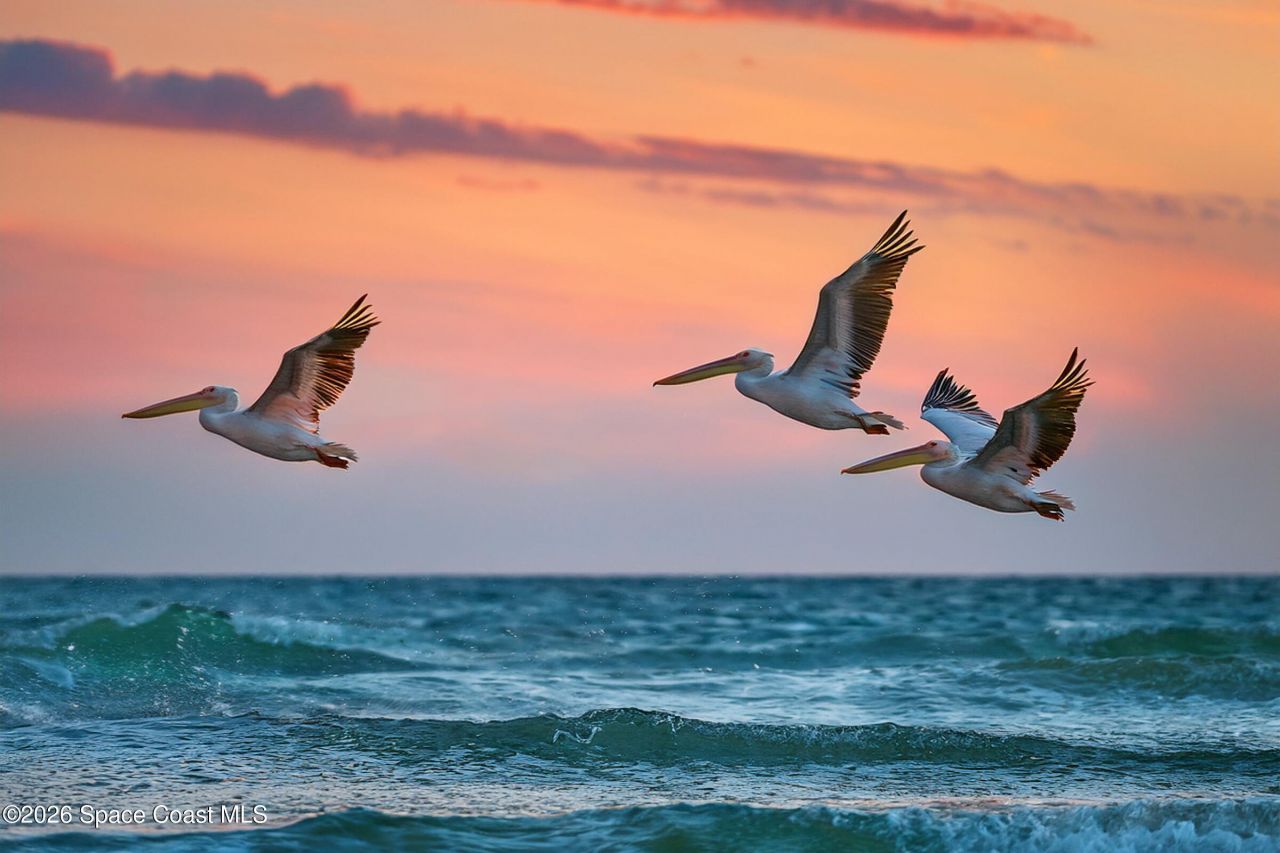 397 Harbor Drive, Cape Canaveral, FL 32920 Photo