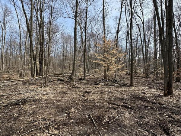 VL Lake Drive, Allegan, MI 49010