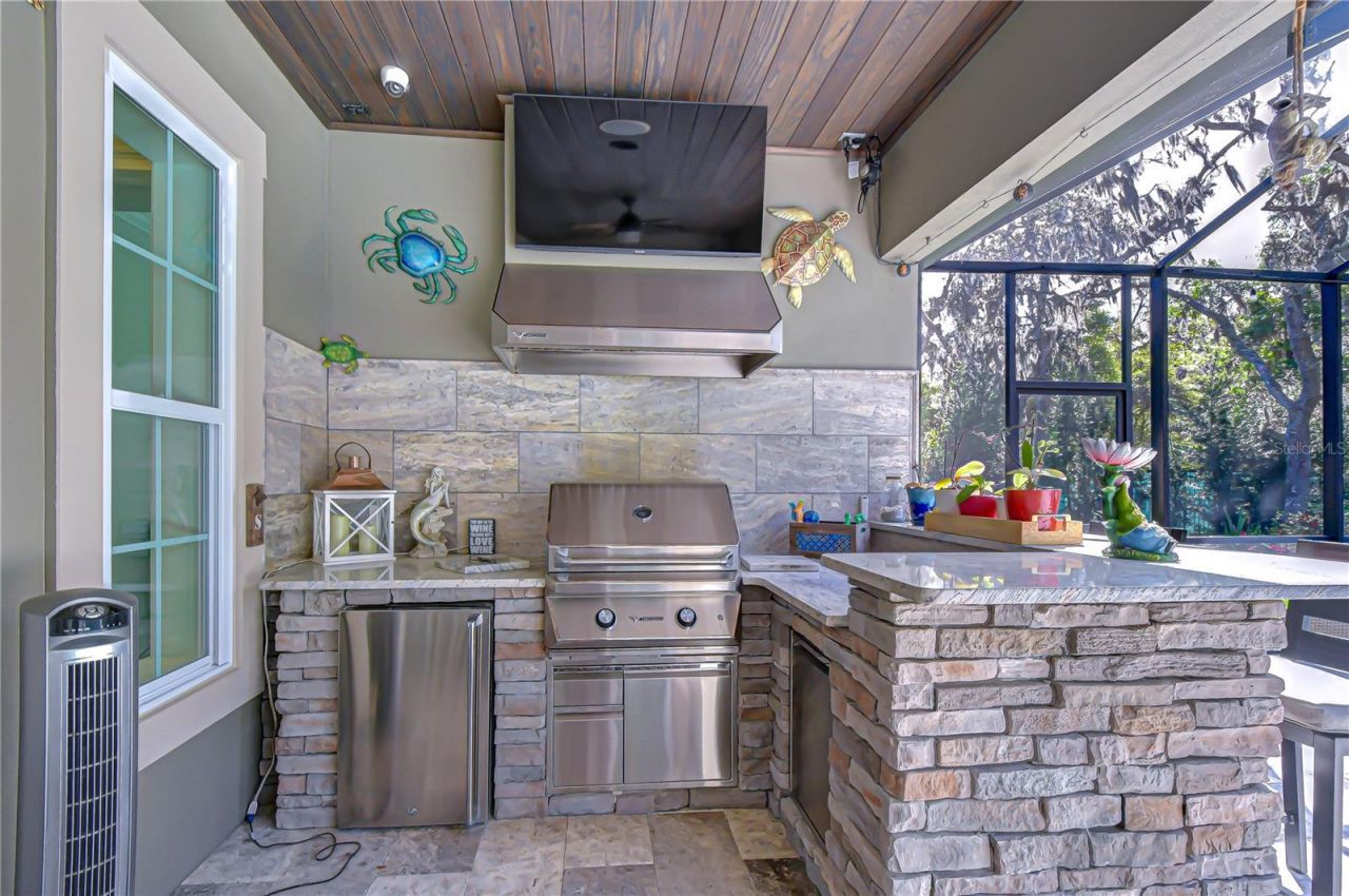 14712 Fishhawk Preserve Drive, Lithia, FL 33547 Photo