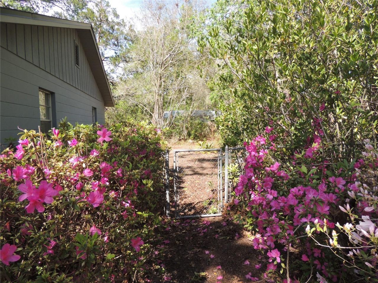 2920 NW 54th Avenue, Gainesville, FL 32653 Photo