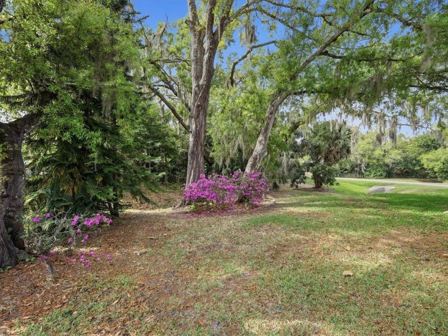 Property Image 46