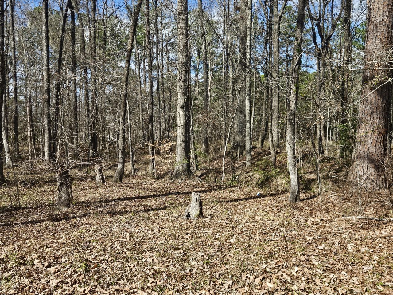 271 Winningham Road Photo 16