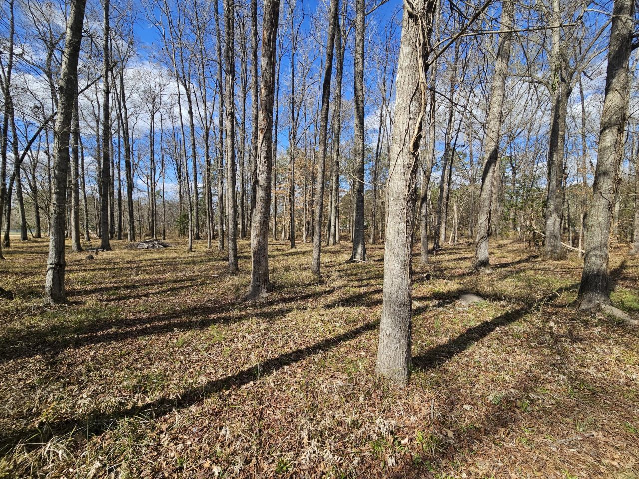 271 Winningham Road Photo 18