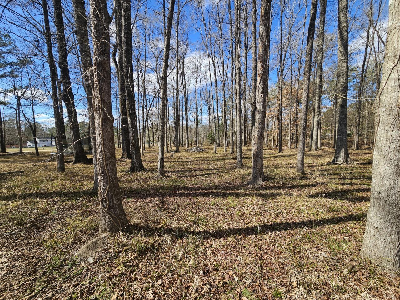 271 Winningham Road Photo 19