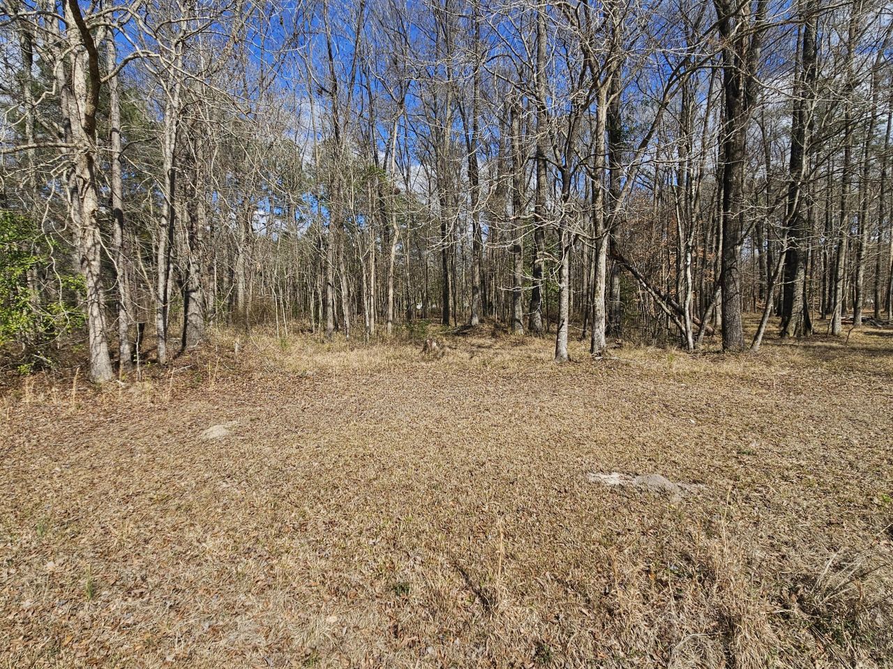 271 Winningham Road Photo 20