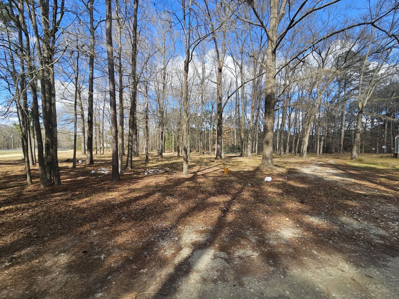 271 Winningham Road Photo 23