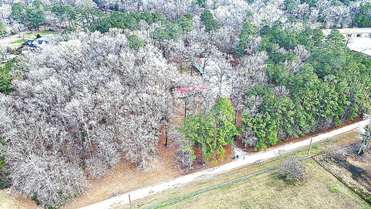 271 Winningham Road Photo 27