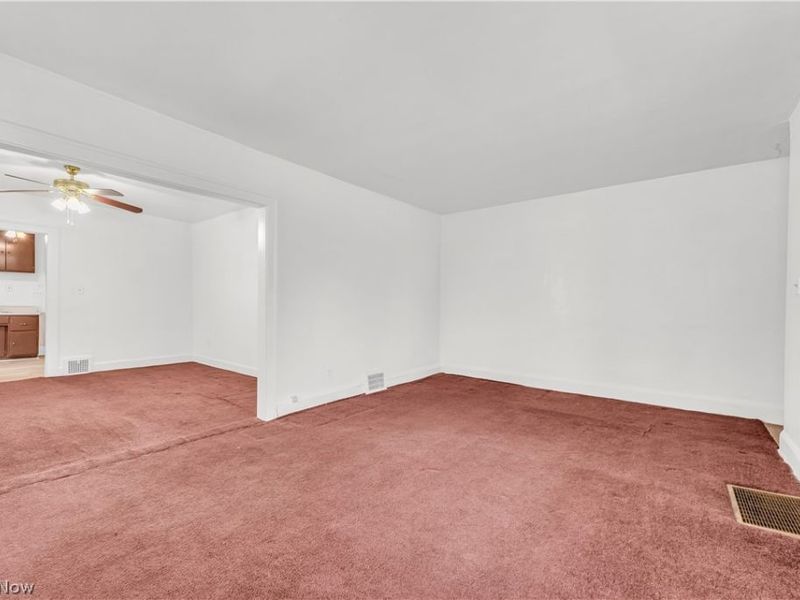 1109 E 169th Street, Cleveland, OH 44110 Photo 3