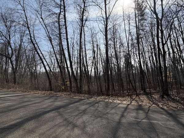 12952 Bowen Lake Drive NE, Gowen, MI 49326