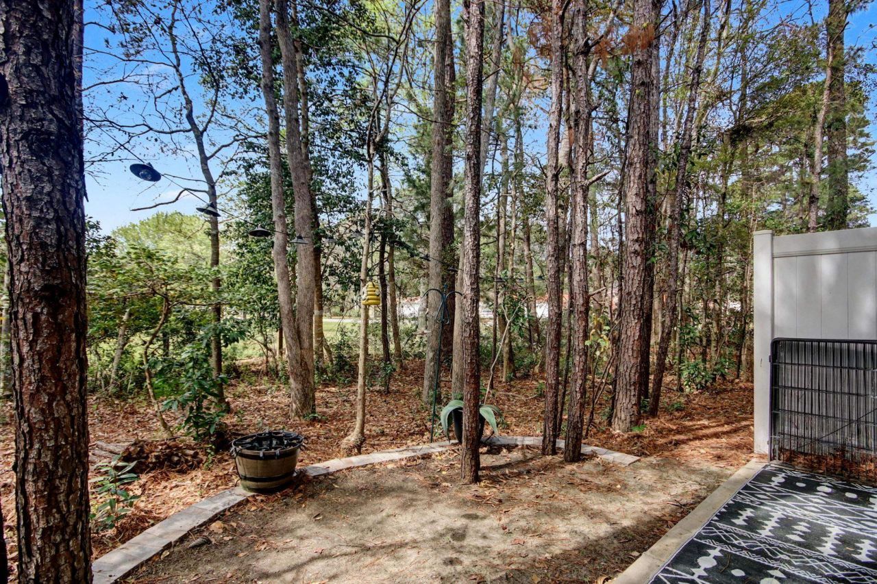 608 Montenegro Way Photo 30