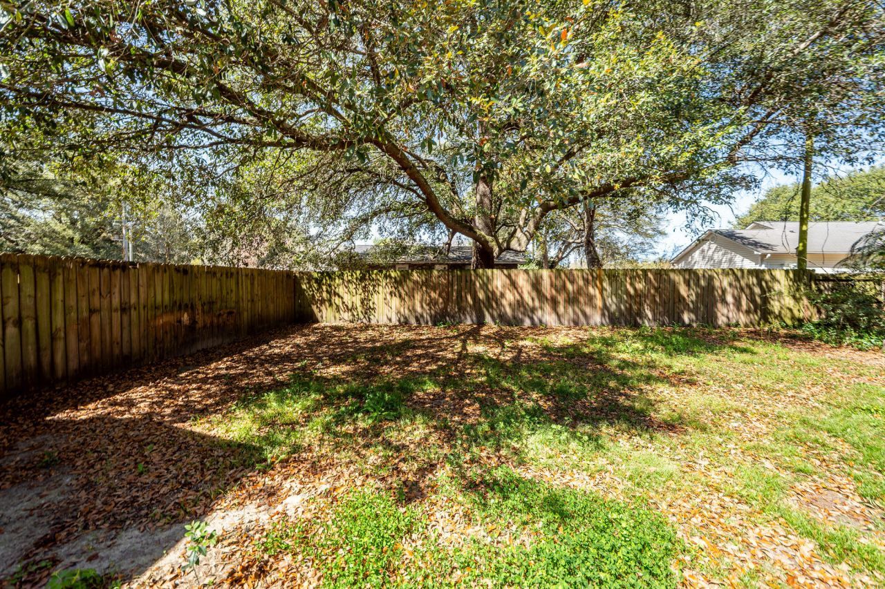 211 White Street Photo 26