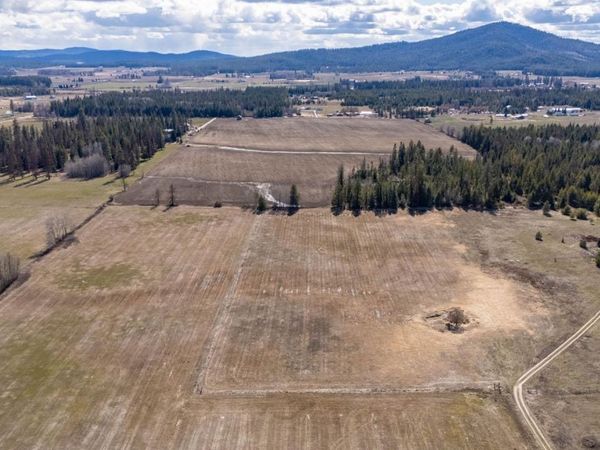 4781B W Gibson Dahl Rd, Clayton, WA 99110