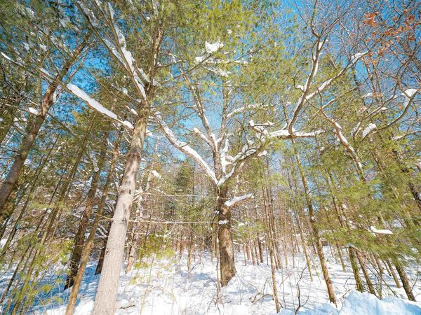 Lot 9 CENTER ROAD, Merrill, WI 54452