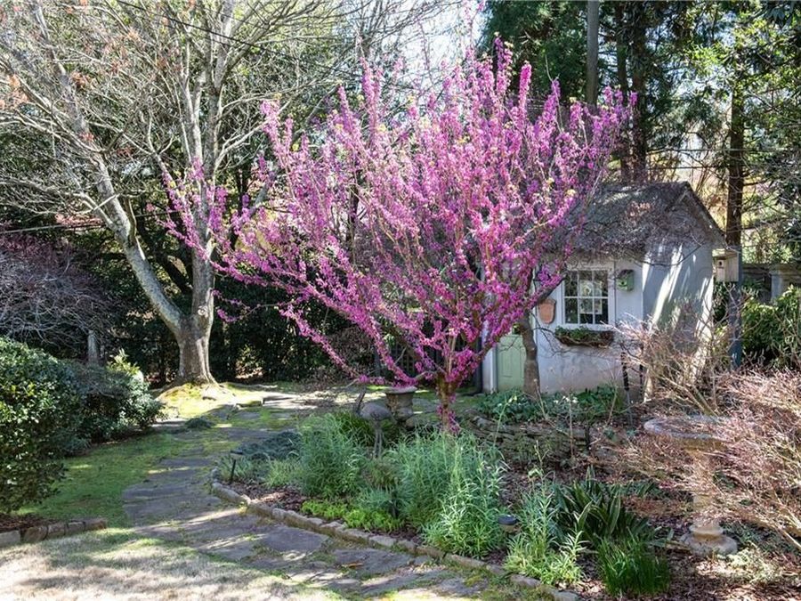 Property Image 61