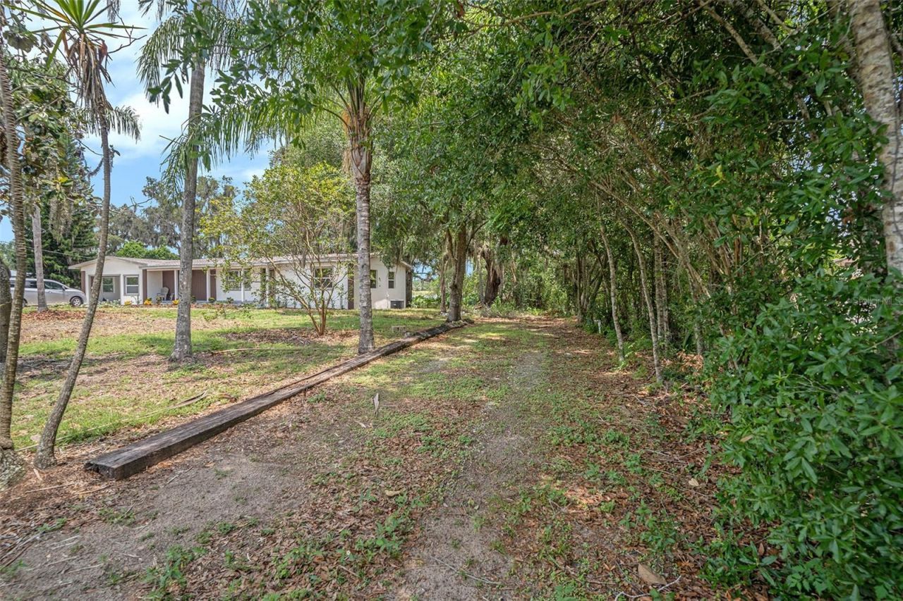 14050 Blackjack Road, Dover, FL 33527 Photo