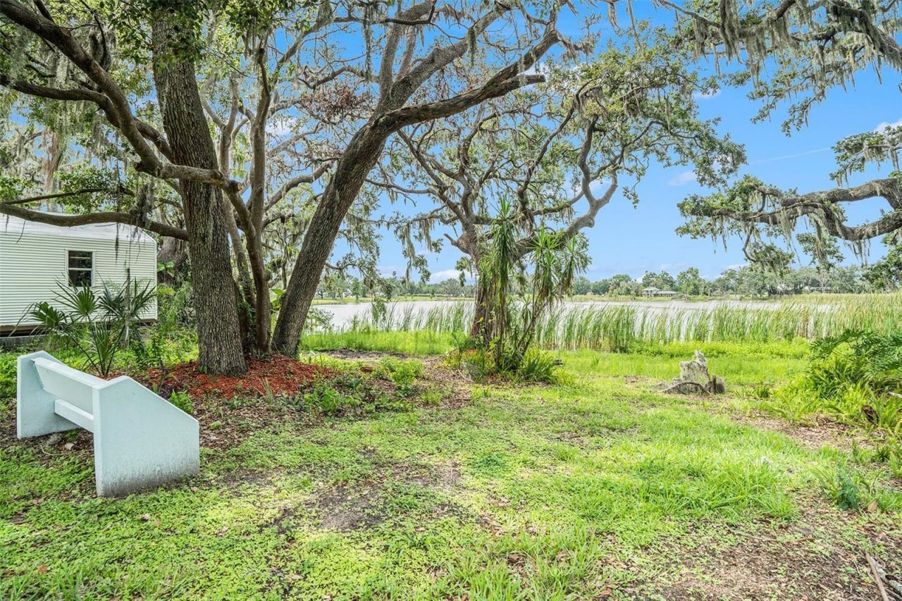 14050 Blackjack Road, Dover, FL 33527 Photo