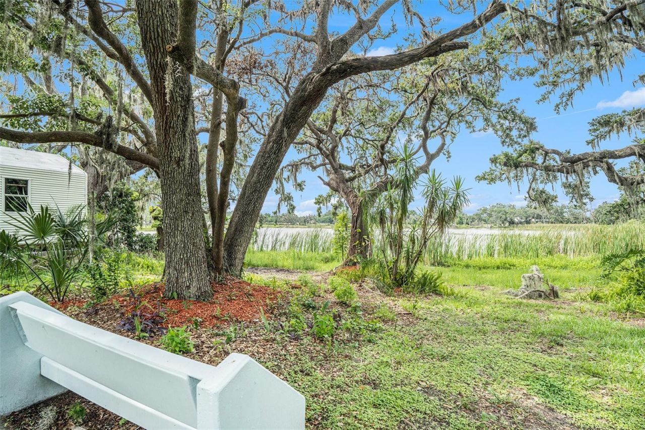 14050 Blackjack Road, Dover, FL 33527 Photo