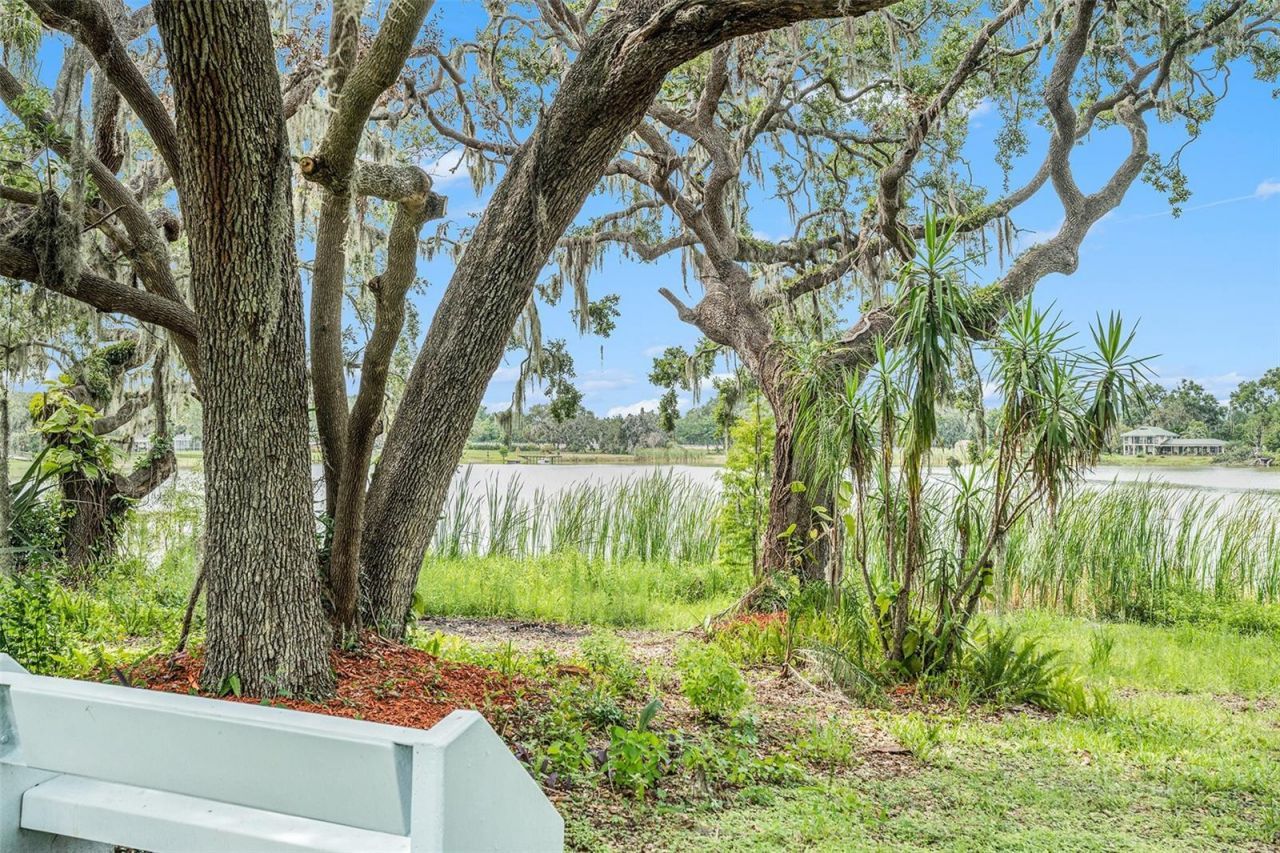 14050 Blackjack Road, Dover, FL 33527 Photo