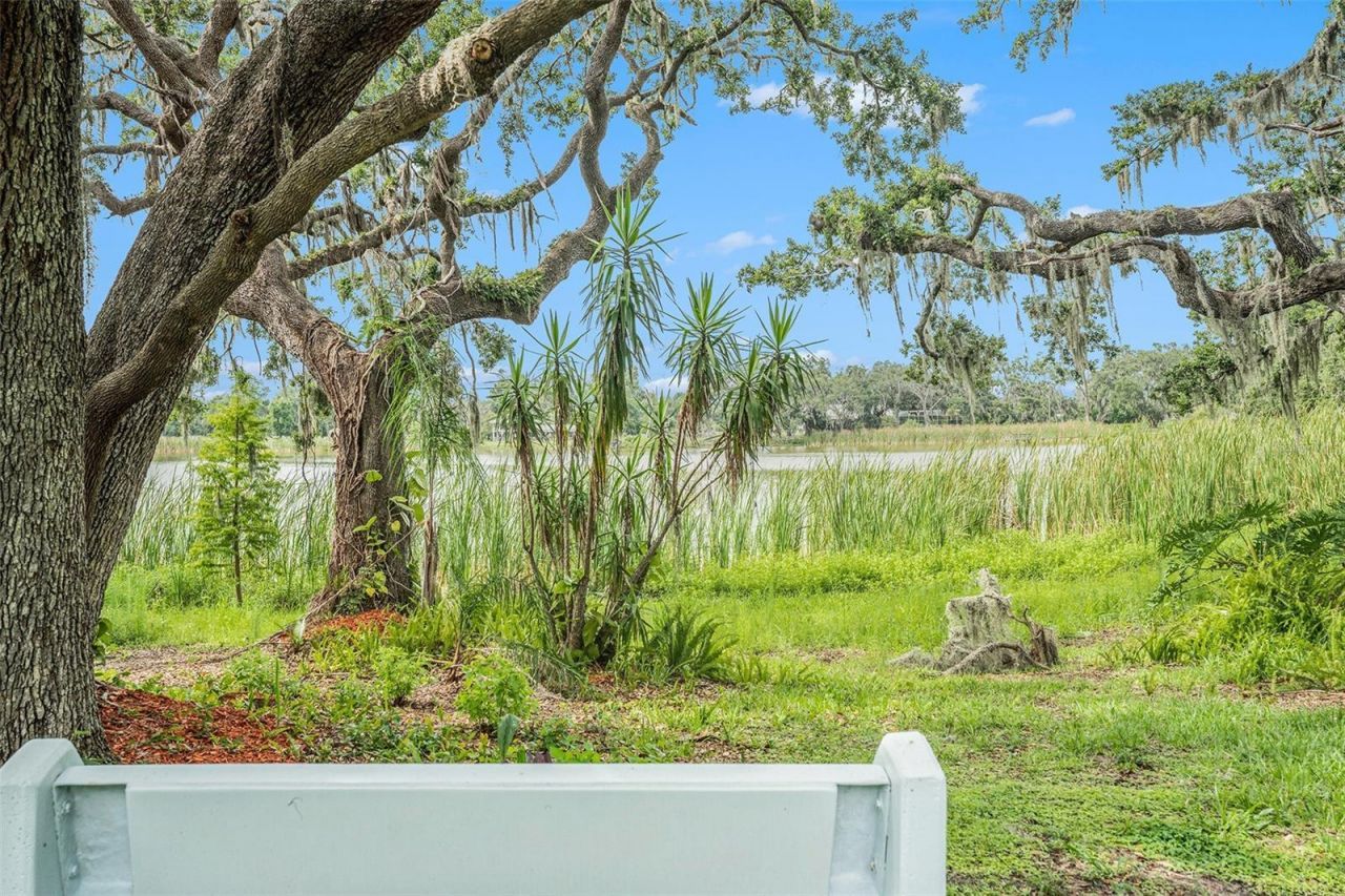 14050 Blackjack Road, Dover, FL 33527 Photo