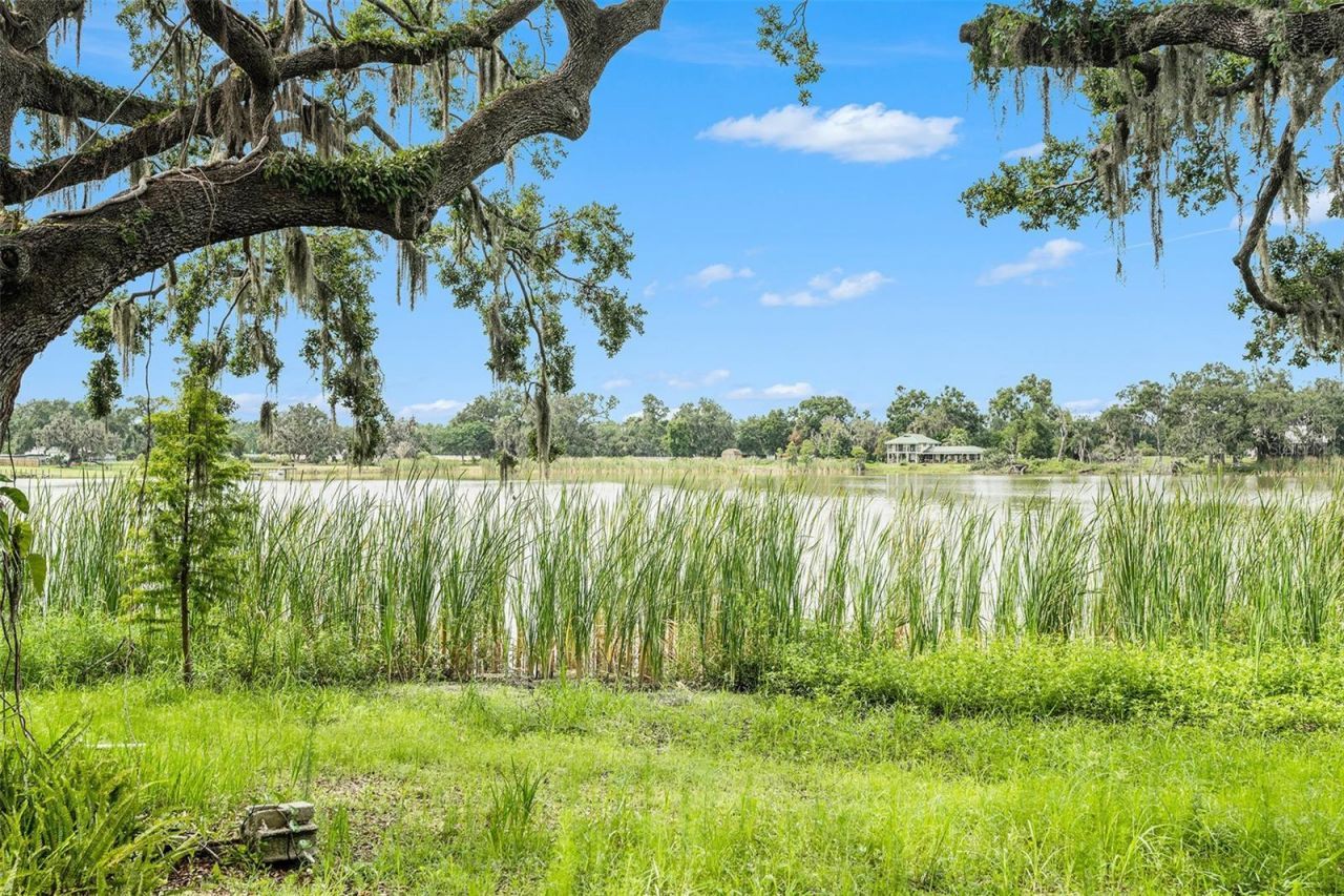 14050 Blackjack Road, Dover, FL 33527 Photo