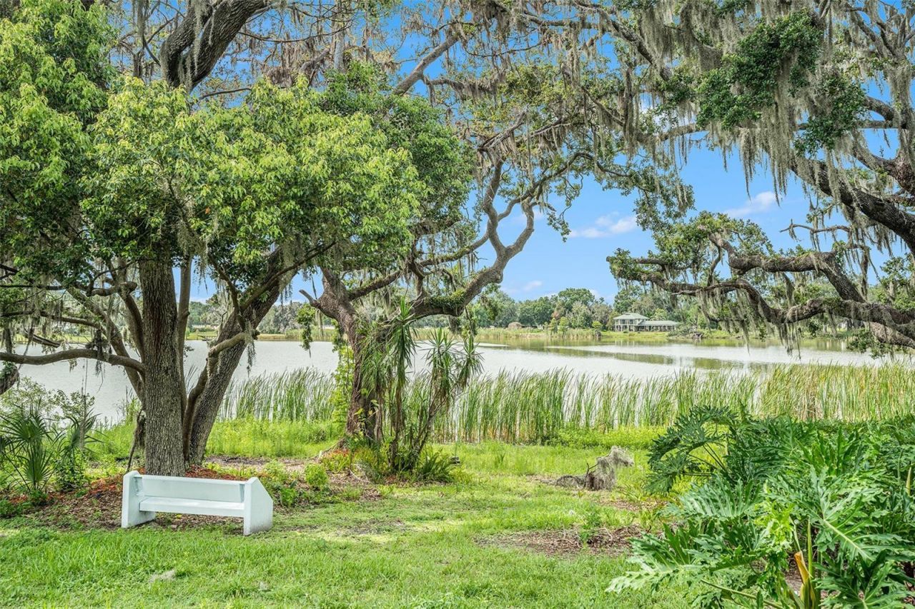 14050 Blackjack Road, Dover, FL 33527 Photo